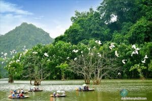 Thuê xe đi khu du lịch sinh thái Thung Nham